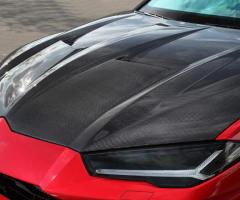 Lightweight Carbon Fiber Hood