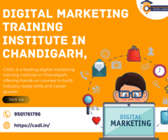 Digital Marketing Training Institute In Chandigarh