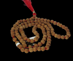 5 Mukhi Japa Mala