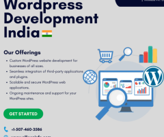 Professional WordPress Development Services - 1