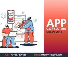 App Consulting Company for Expert Software Assistance