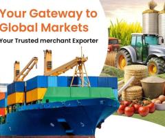 Import And Export in India | Easyway Impex