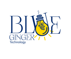 Blue Ginger Technology - Top Web Design & Development Company in Dubai, UAE