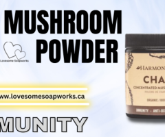 Best Chaga Mushroom Powder for Better Immunity