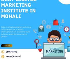 Best Digital Marketing Institute in Mohali