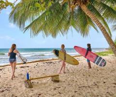 Dive into the Waves with Beginner Surf Lessons in Barbados - 1