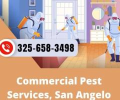 Commercial Pest Control - MDK Services, TX’s Top Choice