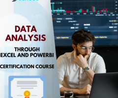 Data Analysis through Excel and PowerBI certification course with SkillSchool.