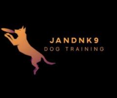 Professional Dog Training in Sunderland