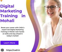 Digital Marketing Training in Mohali