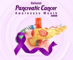 Pancreatic Cancer Treatment at MGCHRI