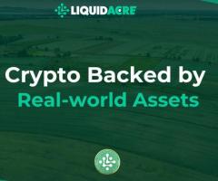 LiquidAcre | Revolutionizing the Crypto Market with NFA: Fast 60-Second Land Transactions