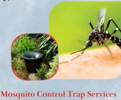 Mosquito Control Trap Services - San Angelo, TX