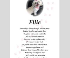 Memorials Ireland - Pet Memorial Cards: Heartfelt Tributes for Beloved Companions