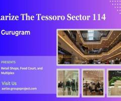 Aarize The Tessoro Sector 114 Gurgaon | A Profitable Investment