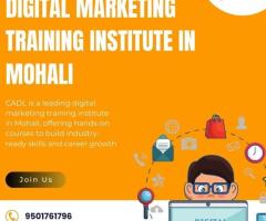 Digital Marketing Training Institute in Mohali