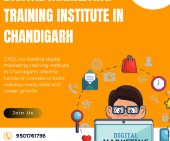 "Digital Marketing Training Institute in Chandigarh