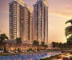 DLF The Dahlias Sector 54 Gurgaon