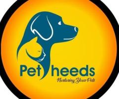 Petheeds | dog shampoo | shampoo for dogs | dog shampoo dry