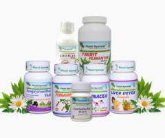 Ayurvedic Treatment For Hepatitis - H-Liver Pack By Planet Ayurveda