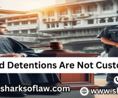 Detentions Are Not Custodial Torture 91-8877001993