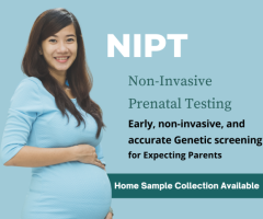 NIPT Test by RML Pathology – Safe and Accurate Prenatal Screening