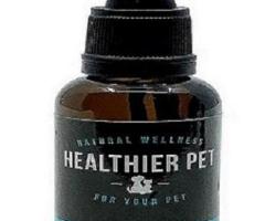 CBD oil for dogs