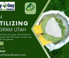 Comprehensive Lawn Fertilizing Program in Utah by My Guy Pest and Lawn Solutions