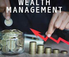 wealth management companies india