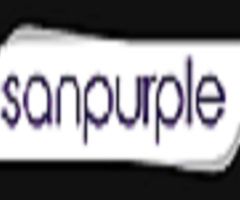 Digital Marketing Company In Pune - Sanpurple