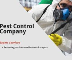 Pest Control Company Near Me - MDK Services | San Angelo, TX