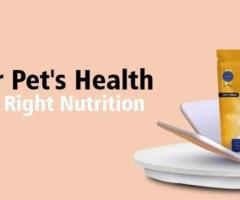 Buy Dog Protein Bar Online