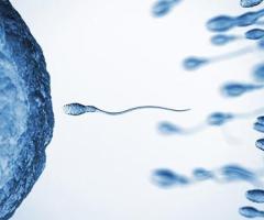 Affordable IVF Cost & Top IVF Center