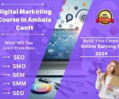 Getting Job After Digital Marketing course in Ambala CAntt