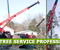 Commercial Tree Service in NJ