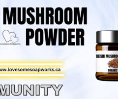 Natural Reishi Mushroom Powder