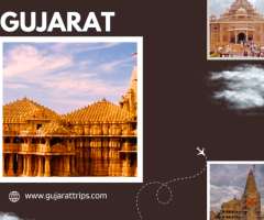 Gujarat Premium Packages