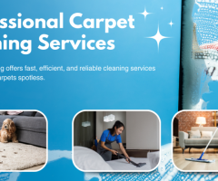 Carpet Cleaning New Farm – Fresh, Clean, and Beautiful Carpets Every Time