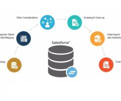 Looking For Salesforce Data Migration Services