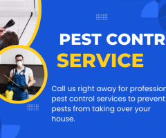 Pest-Free Living Starts Here: Trusted Pest Control St Kilda