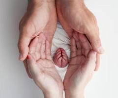 Family-Building Options in Australia: Embryo Donation, Surrogacy, and Egg Donation