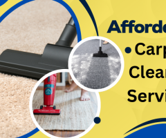 Expert Carpet Cleaning Pakenham – Bringing Freshness to Every Fiber