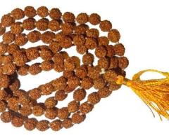 7 Mukhi Rudraksha Mala