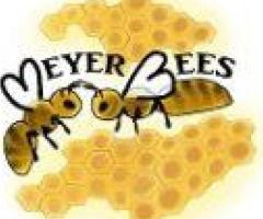 Find the Perfect Beekeeper Suit for Sale at Meyer Bees