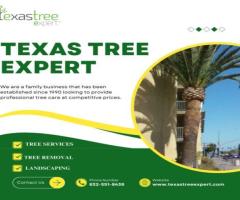 Trusted Tree Care Services by Texas Tree Expert