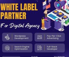 Expert White Label Solutions for Digital Success