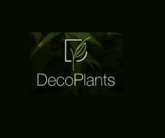 Deco Plants