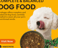 Yodoggo: Simple Dog Food Delivery for Healthier, Happier Puppies