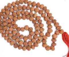 7 Mukhi Rudraksha Mala