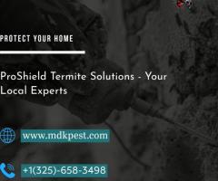 Reliable Termite Companies Near Me for Home Protection